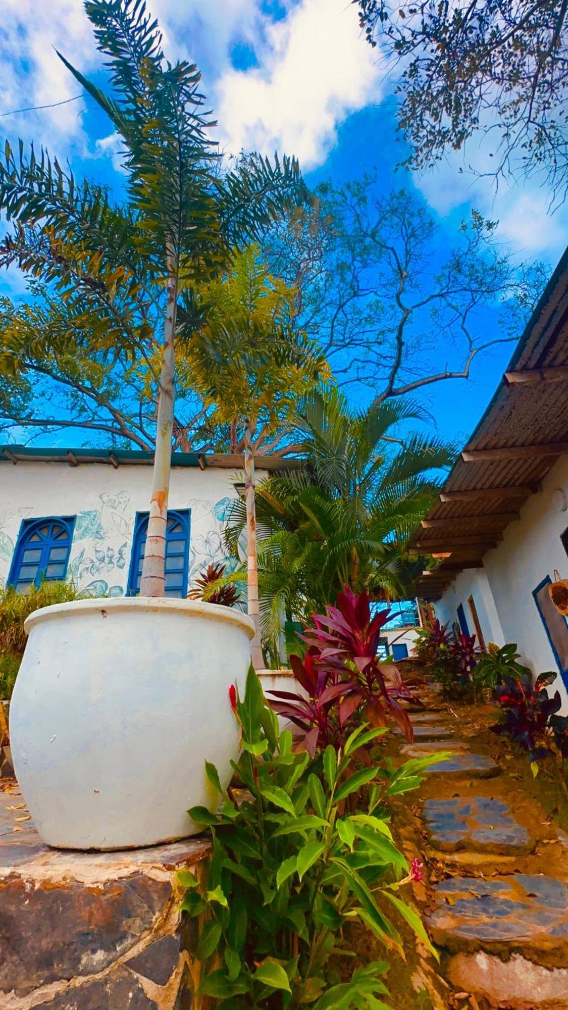 Hotel Renasci Palomino Εξωτερικό φωτογραφία