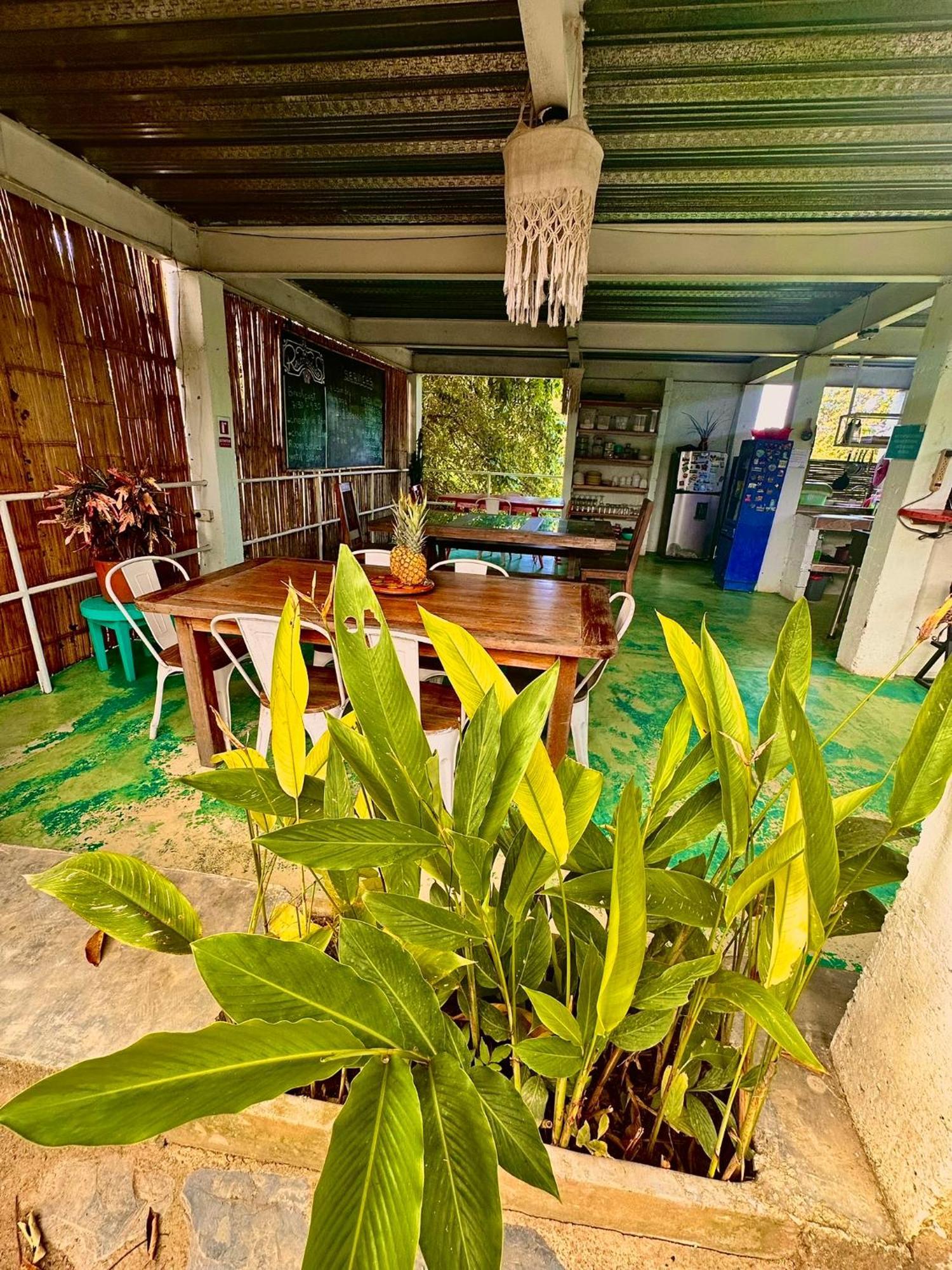 Hotel Renasci Palomino Εξωτερικό φωτογραφία